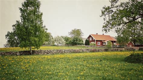 Samägande fastighet